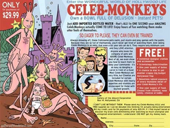 TypingMonkeys